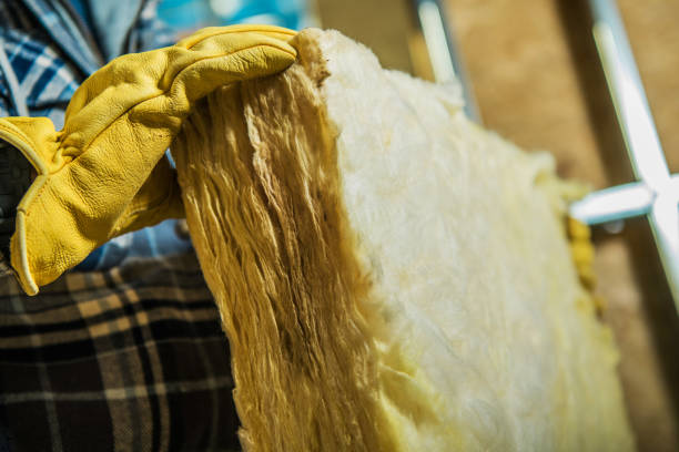 Best Attic Insulation Near Me  in Belton, MO