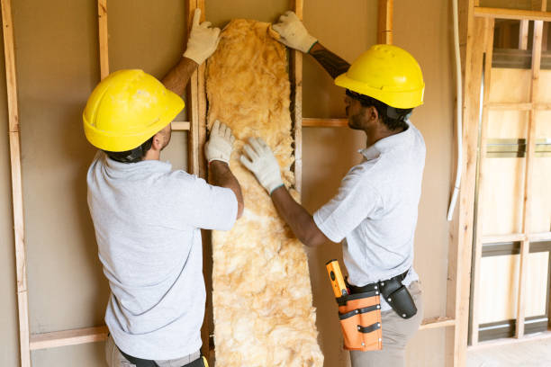 Best Insulation Contractors for Homes  in Belton, MO