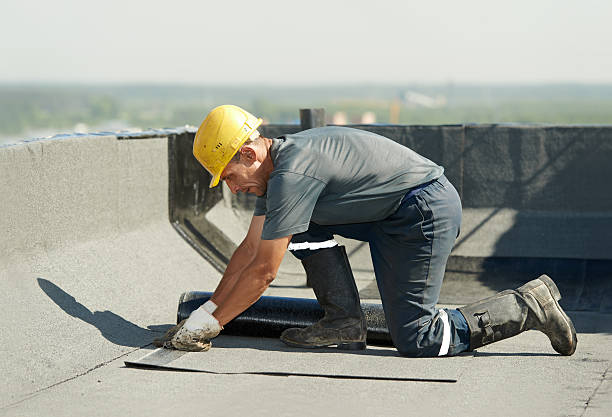 Best Energy-efficient Insulation  in Belton, MO