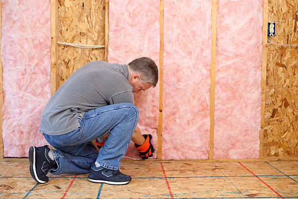 Best Crawl Space Insulation  in Belton, MO