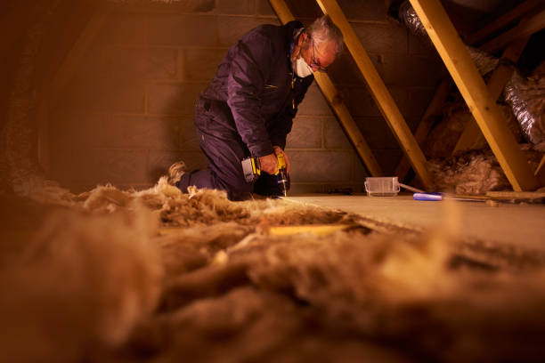 Best Soundproof Insulation Installation  in Belton, MO
